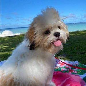 Meet your Posher, Maria